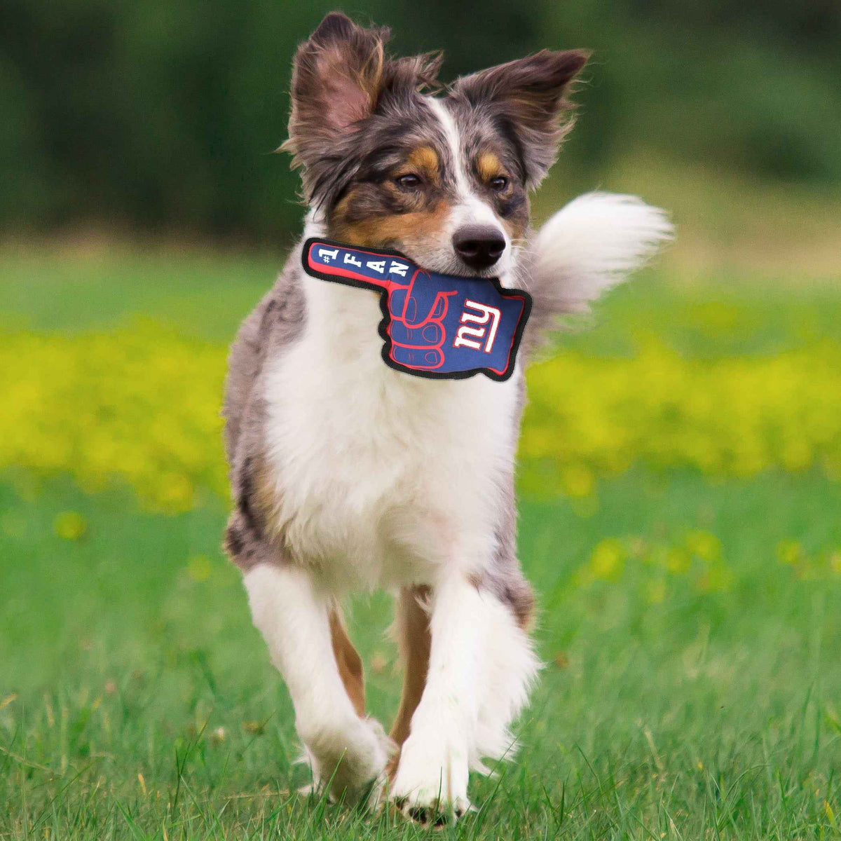 New York Giants #1 Fan Toy