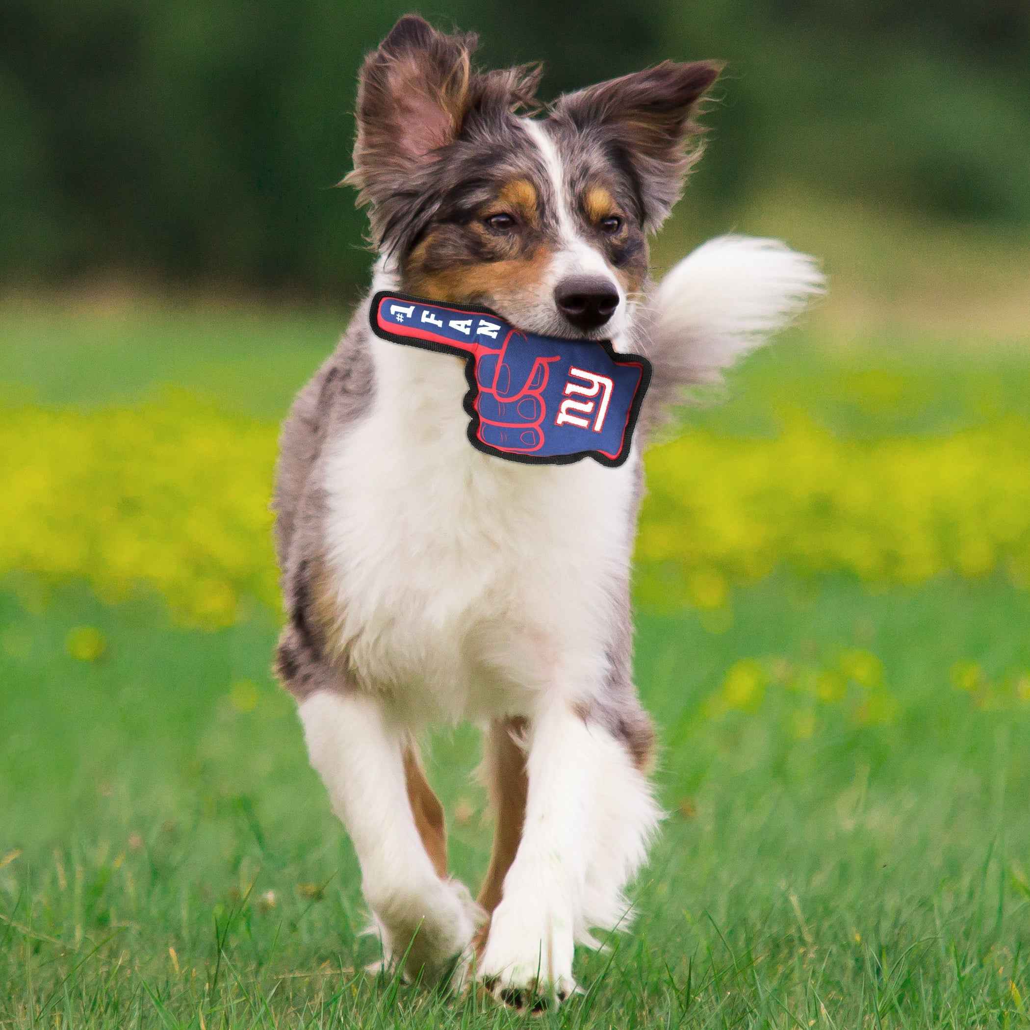 New York Giants #1 Fan Toy