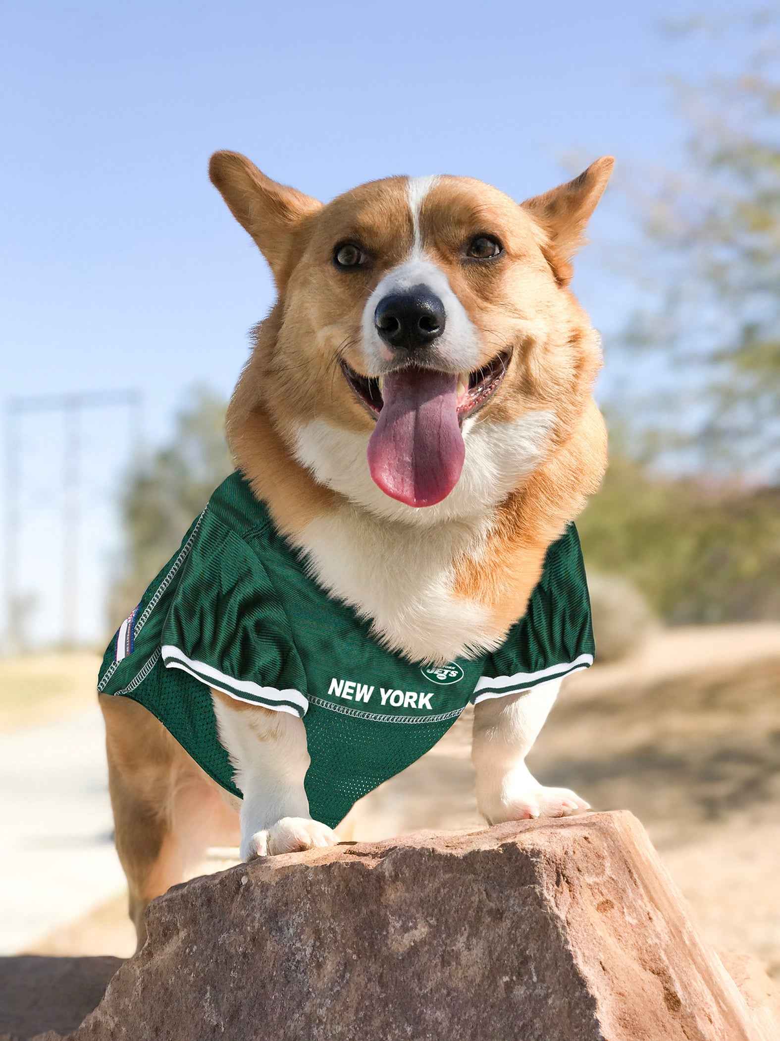NFL New York Jets Raglan Mesh Pet Jersey