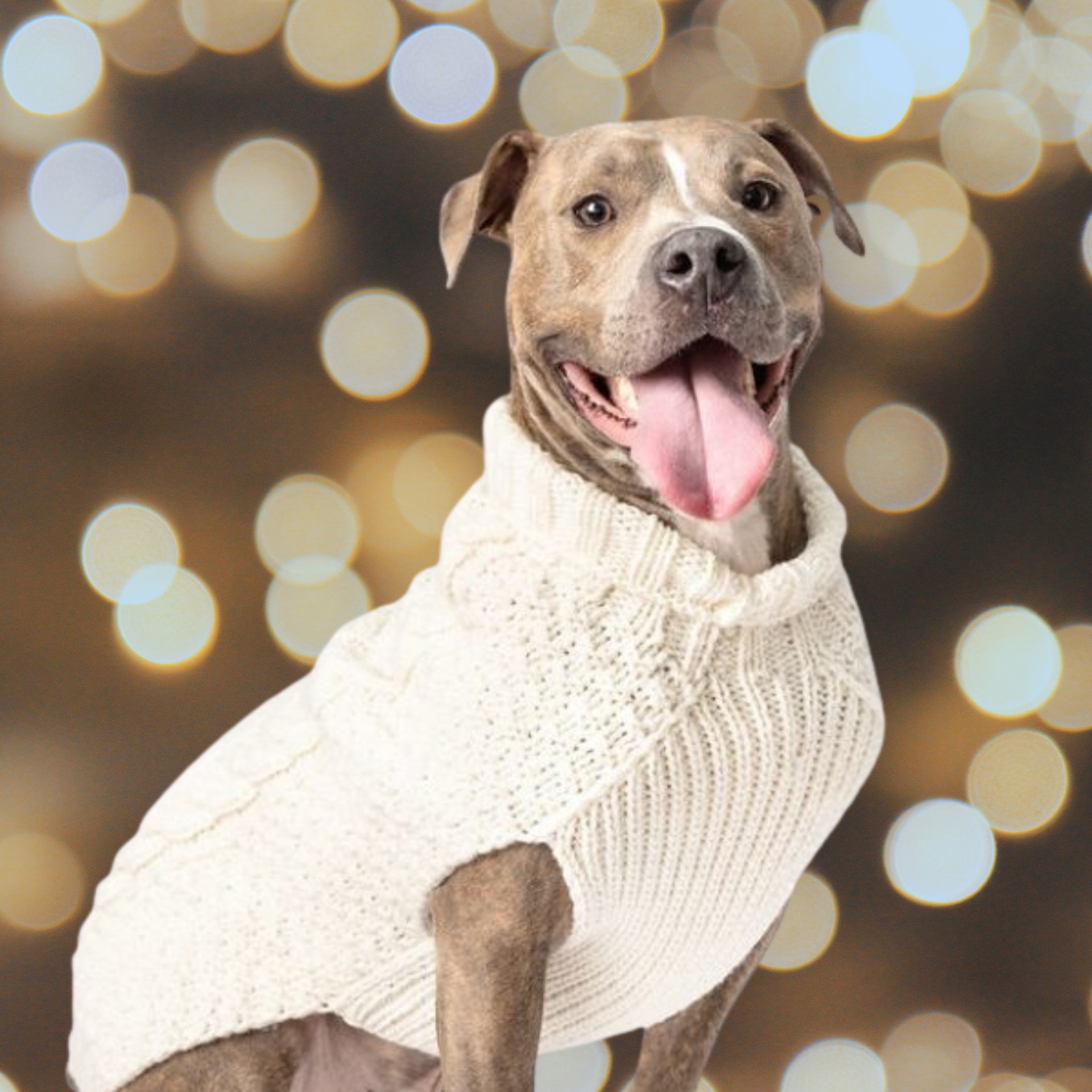 Chilly Dog Natural Cable Knit Wool Dog Sweater