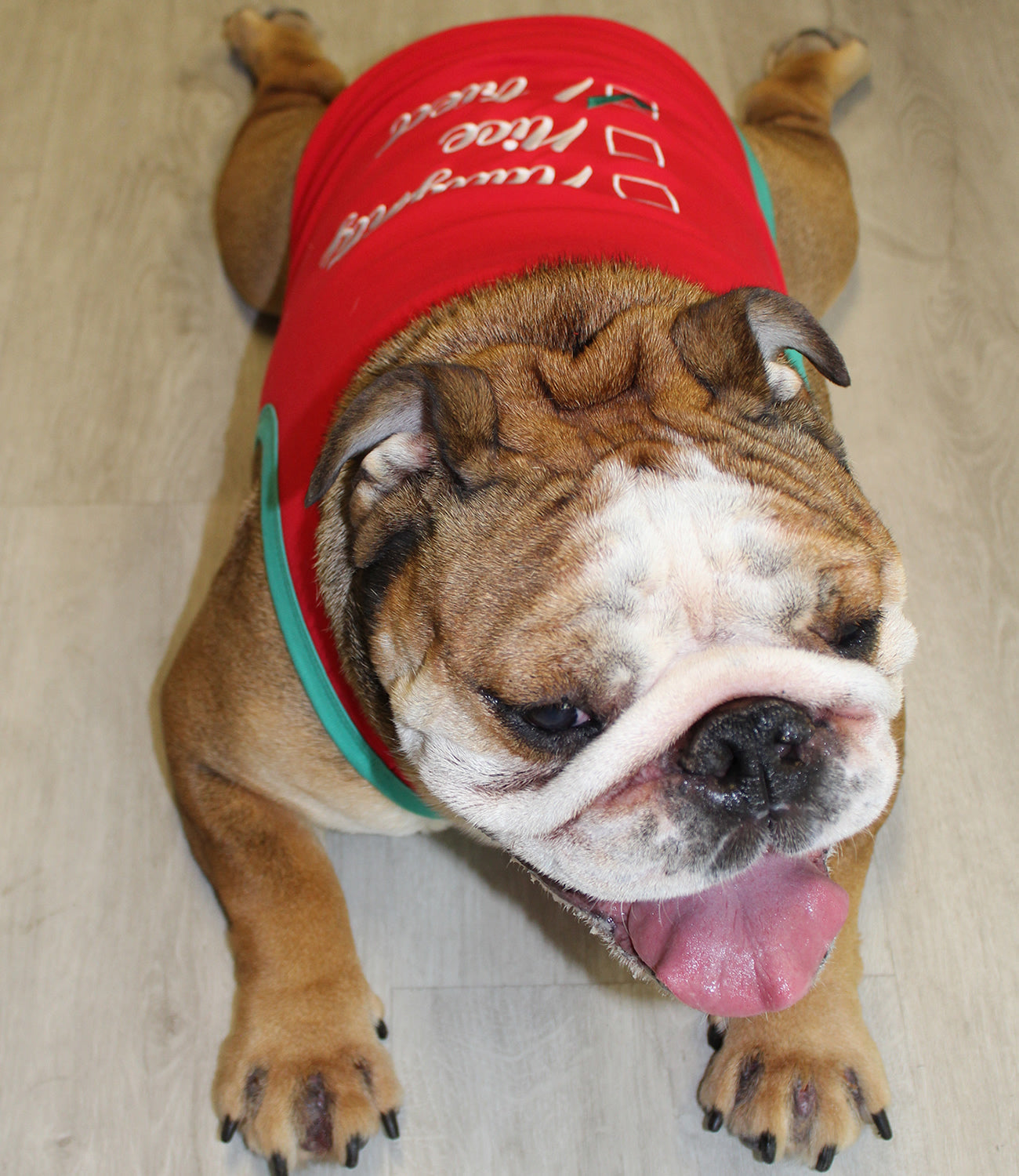 Parisian Pet Naughty or Nice Dog Christmas T-Shirt - Festive Pet Holiday Shirt for Dogs & Cats, Red