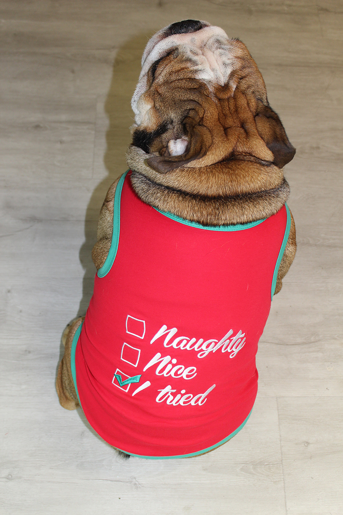 Parisian Pet Naughty or Nice Dog Christmas T-Shirt - Festive Pet Holiday Shirt for Dogs & Cats, Red