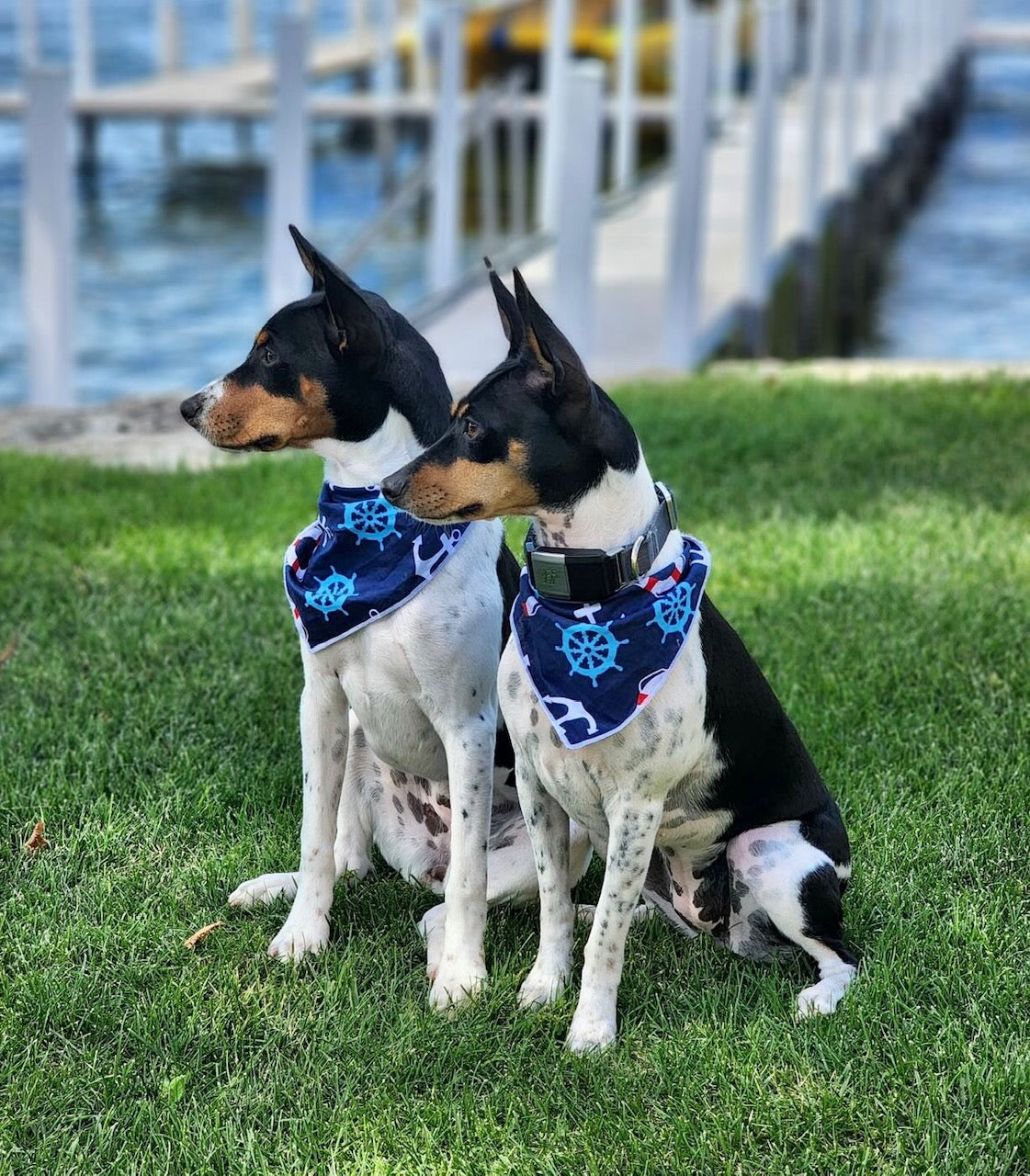 Nautical Boating Dog Bandana