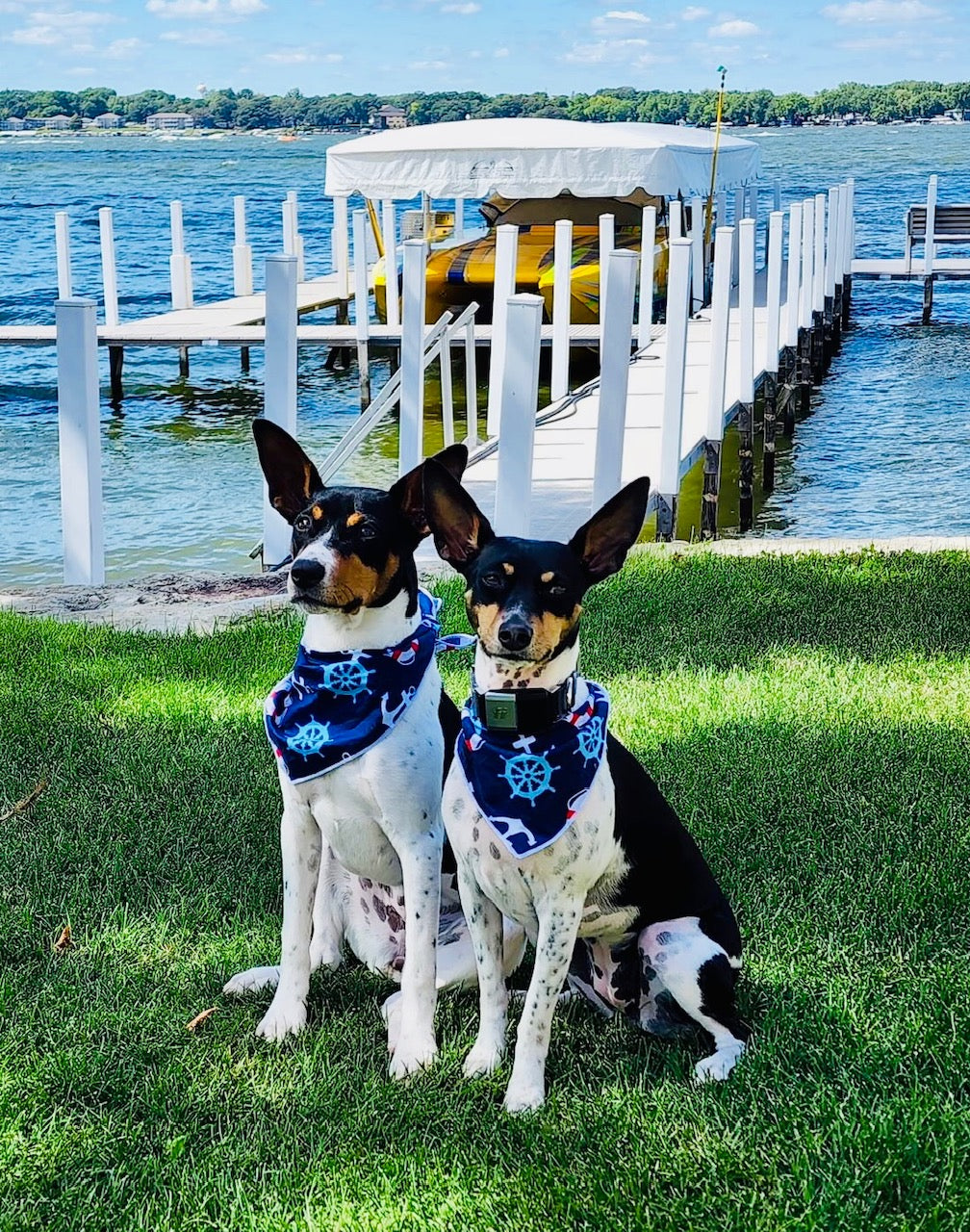 Nautical Boating Dog Bandana