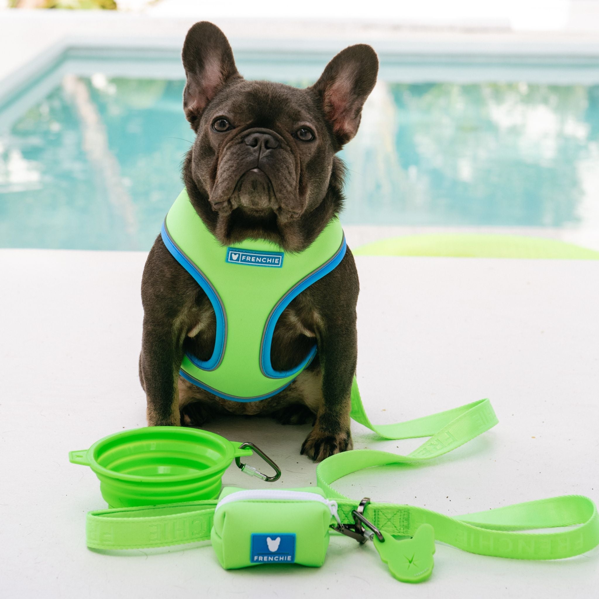 Frenchie Comfort Leash - Neon Green