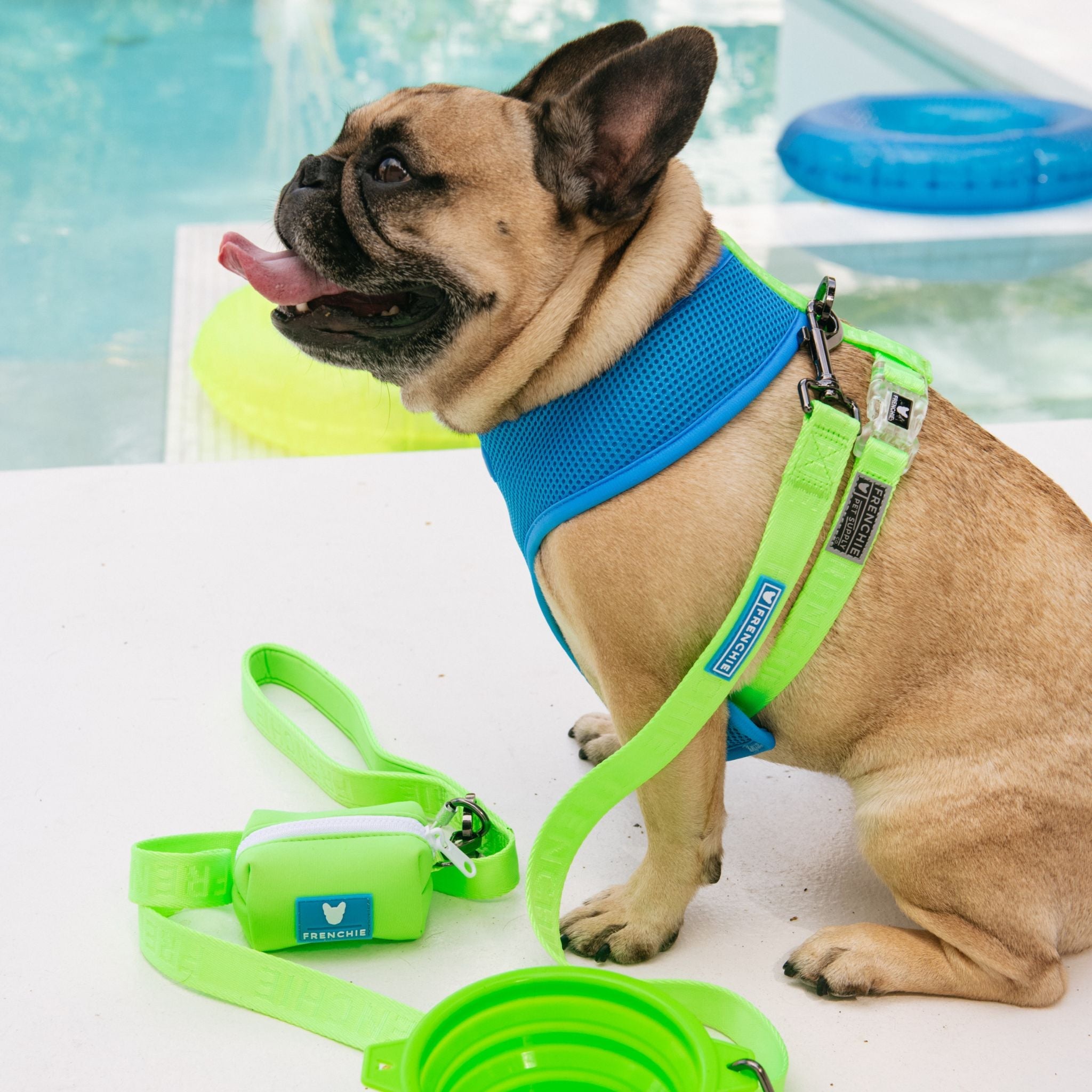 Frenchie Comfort Leash - Neon Green