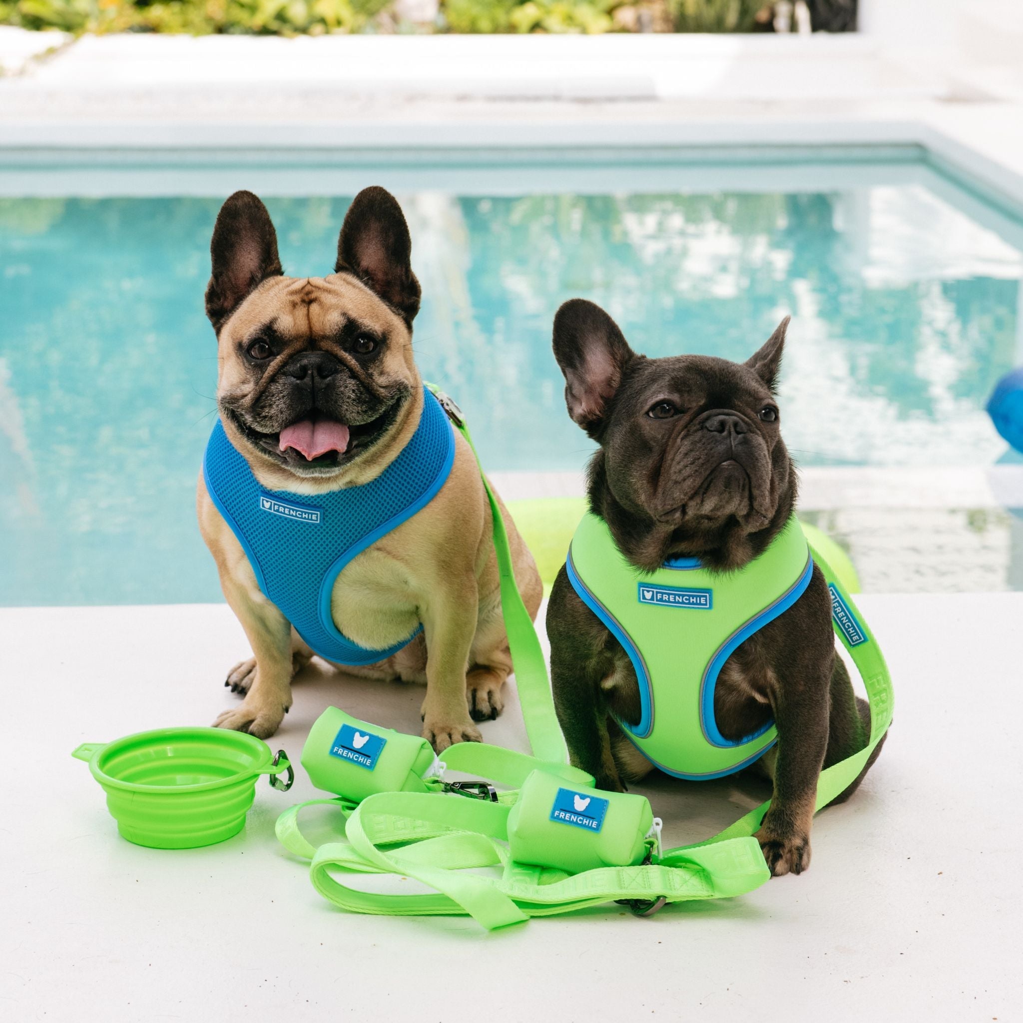 Frenchie Comfort Leash - Neon Green