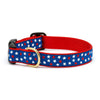 Up Country New Stars Cast Brass Dog Collar