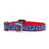 Up Country New Stars Small Breed Dog Collar Made in USA
