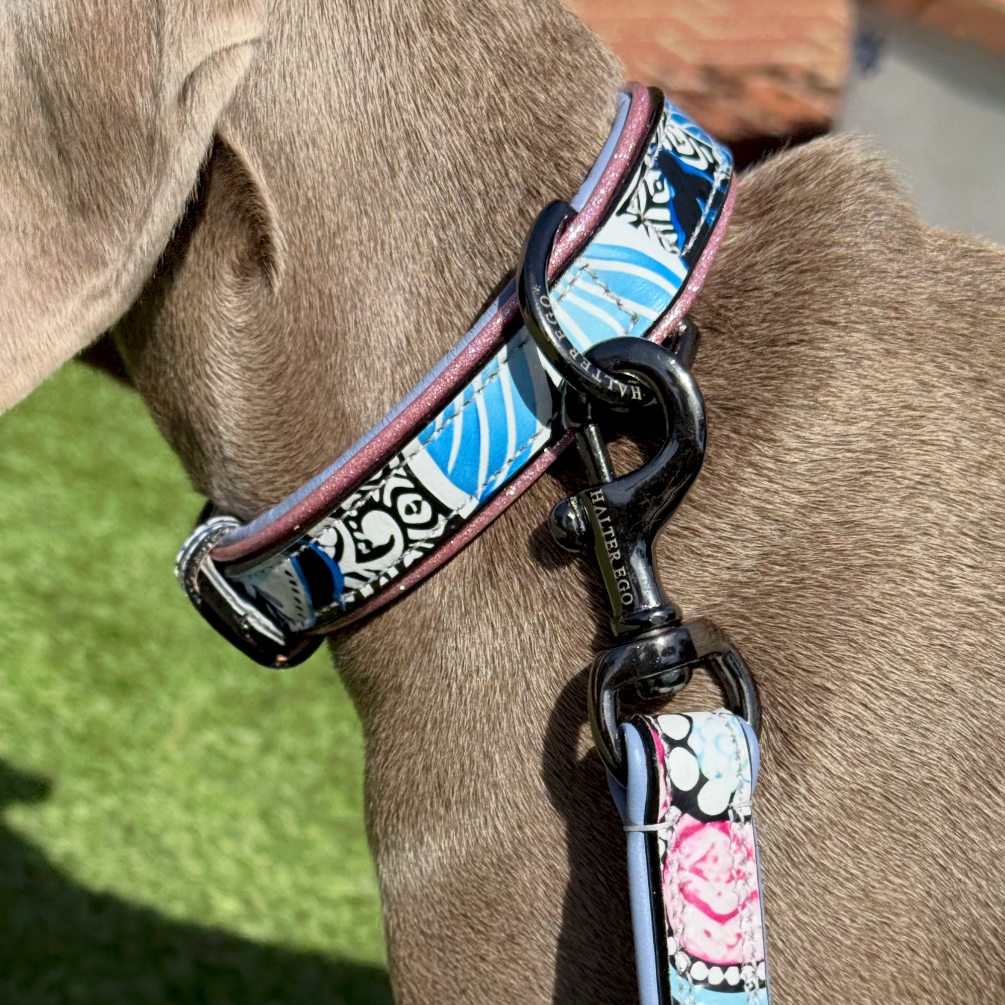 The Blossom Leather Dog Leash