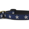 North Star Martingale