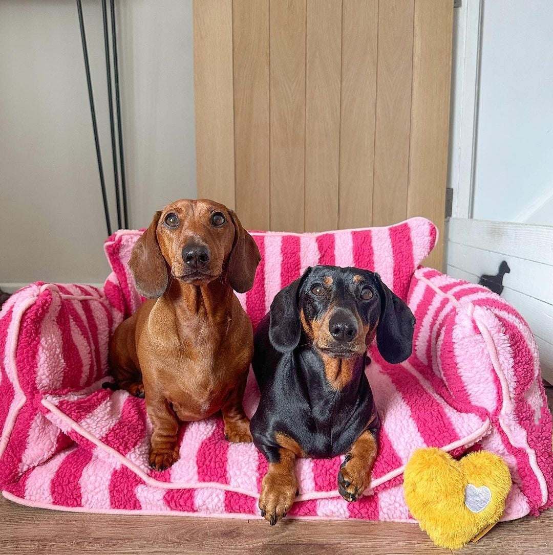 Glow Pups: Pink Striped Sofa Dog Bed