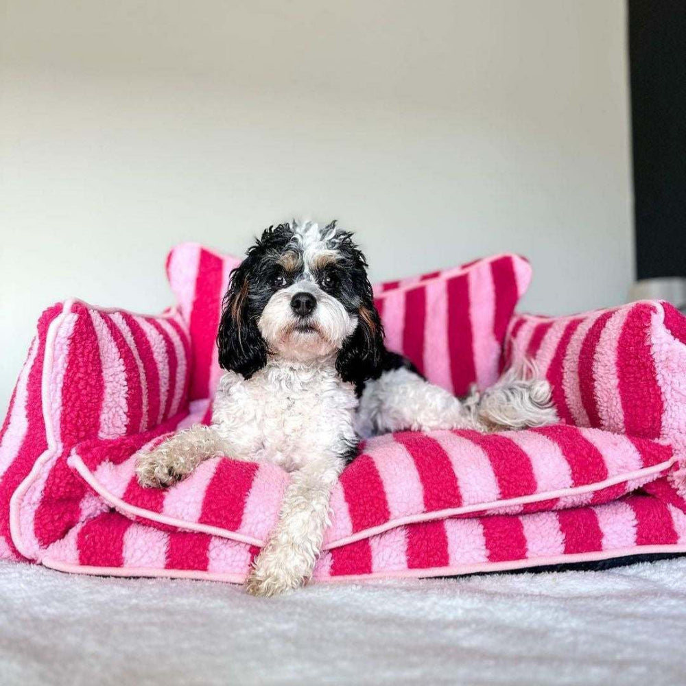 Glow Pups: Pink Striped Sofa Dog Bed