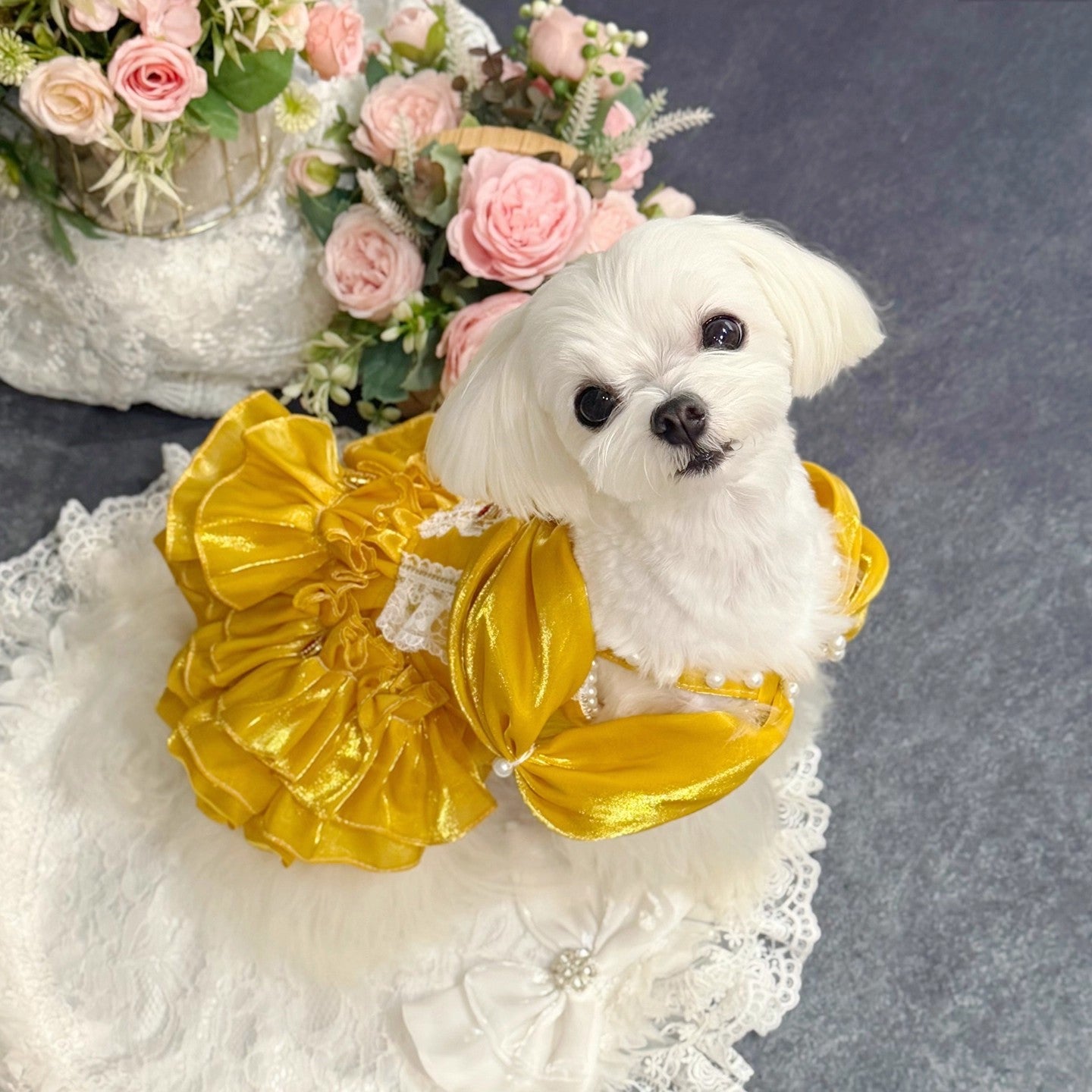 Handmade Golden Heart Jewel Dog Dress
