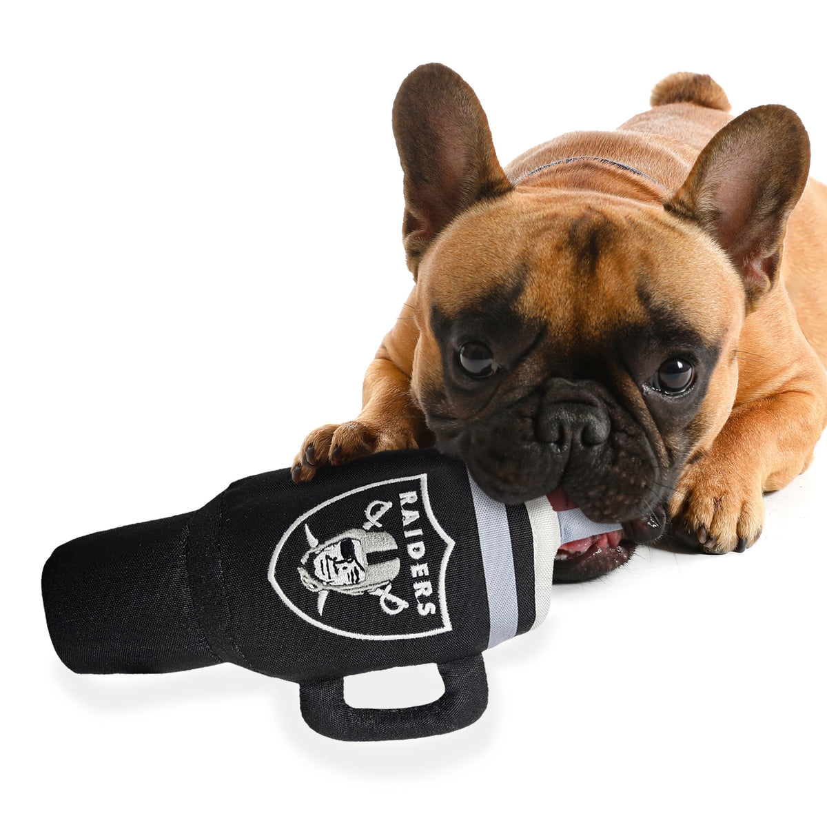 NFL Las Vegas Raiders Nylon Tumbler Dog Toy