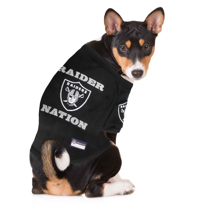 NFL Las Vegas Raiders Raglan Pet Jersey