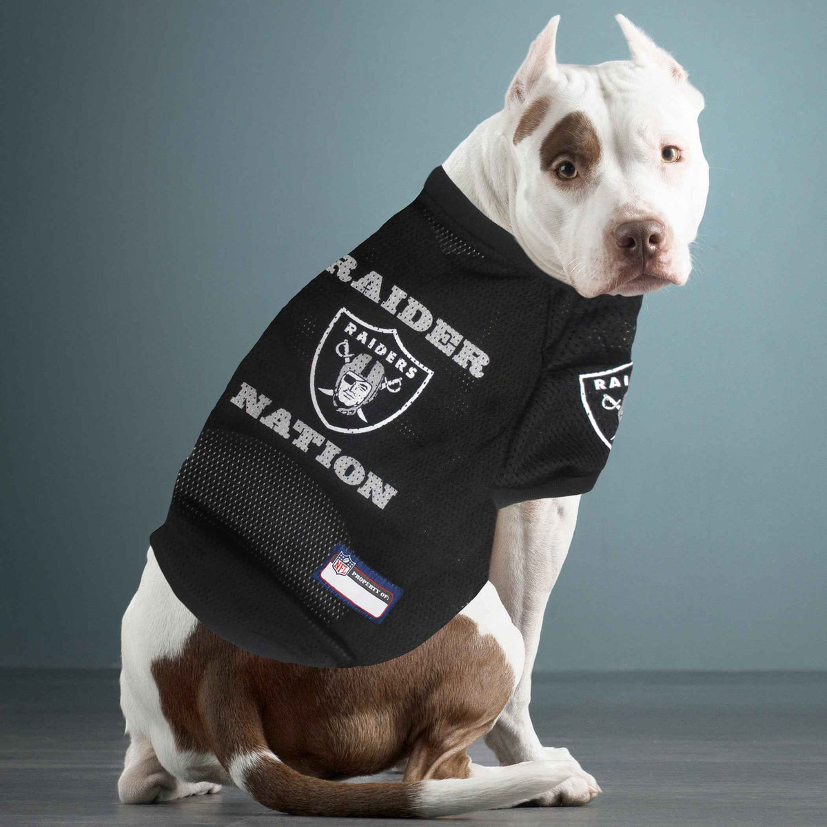 NFL Las Vegas Raiders Raglan Pet Jersey