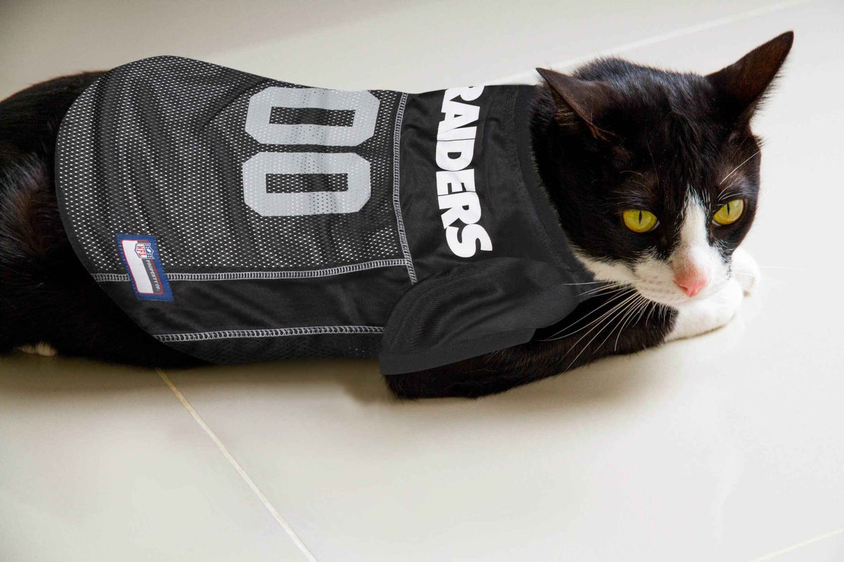 NFL Las Vegas Raiders Mesh Pet Jersey