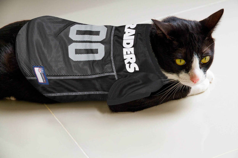 NFL Las Vegas Raiders Mesh Pet Jersey