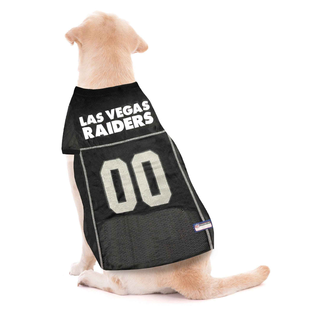 NFL Las Vegas Raiders Striped Mesh Pet Jersey