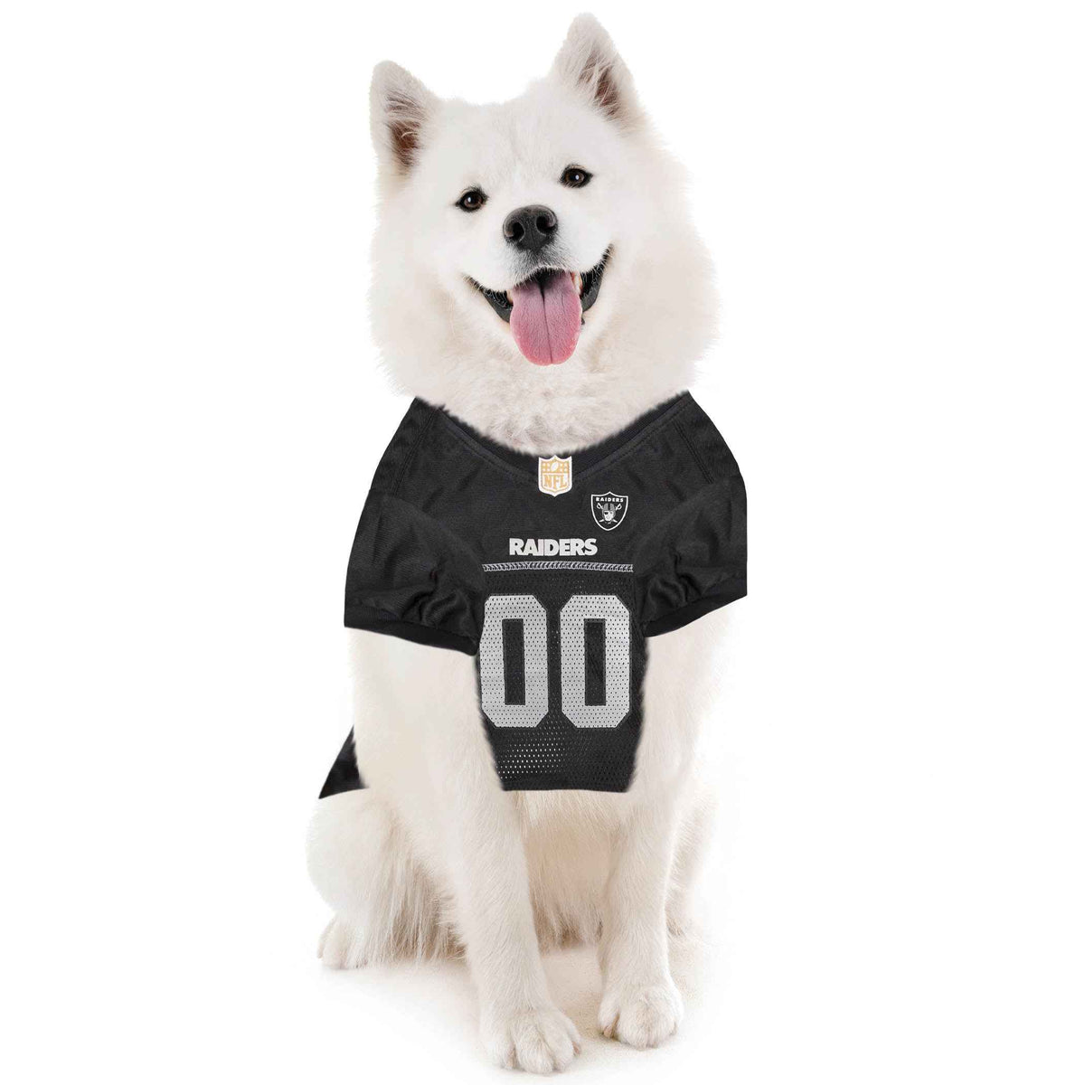 NFL Las Vegas Raiders Striped Mesh Pet Jersey