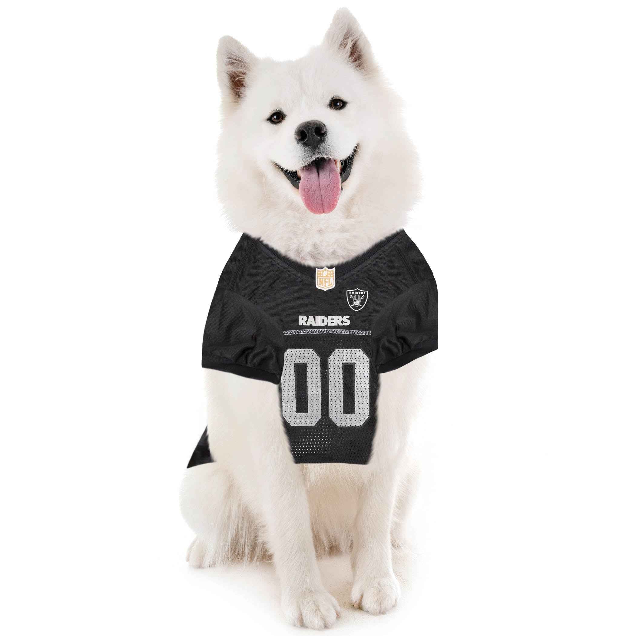 Las Vegas Raiders Pet Striped Jersey