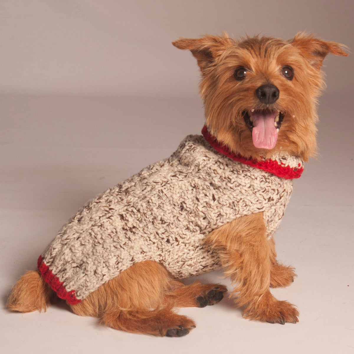 Chilly Dog Oatmeal Cable Knit Wool Dog Sweater