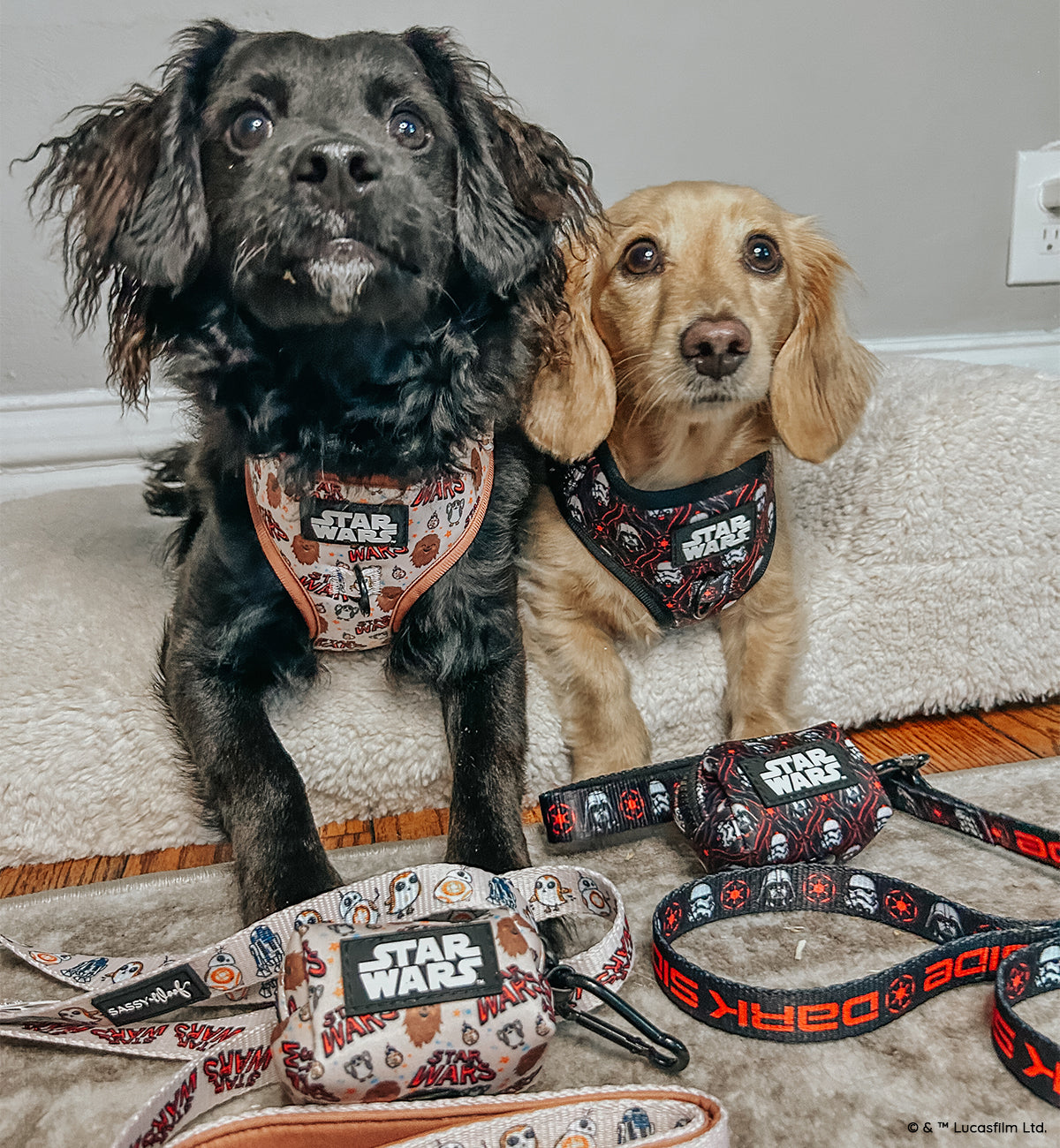 Dog Leash - STAR WARS™ The Rebel Alliance