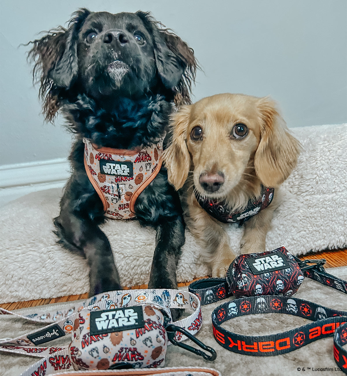 Dog Leash - STAR WARS™ The Dark Side