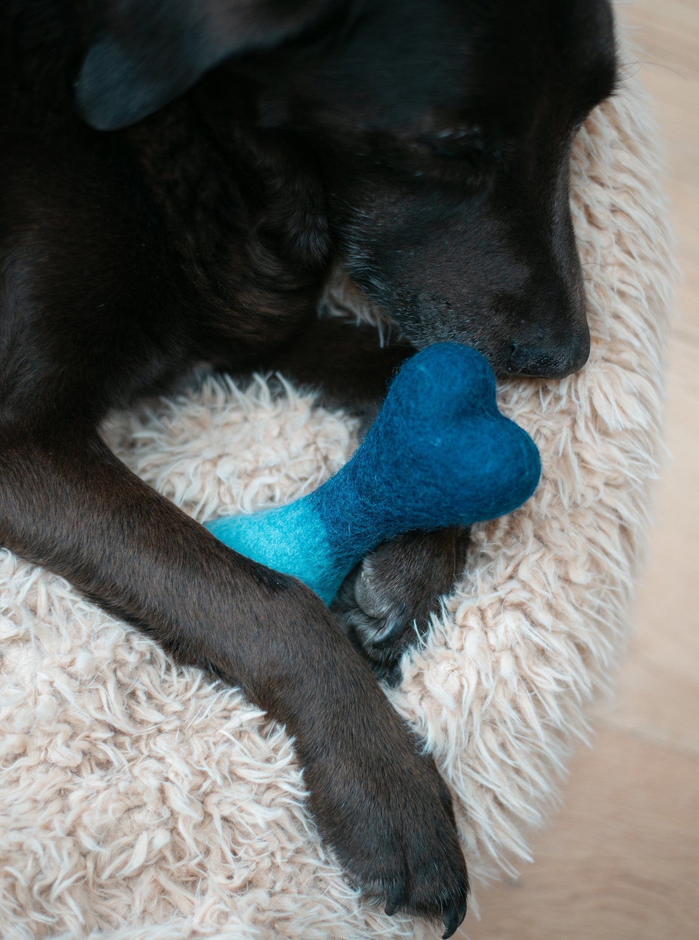 OMBRE WOOLBONE