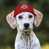 NCAA Ohio State University Buckeyes Dog Hat
