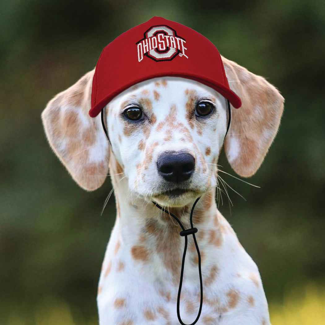 NCAA Ohio State University Buckeyes Dog Hat