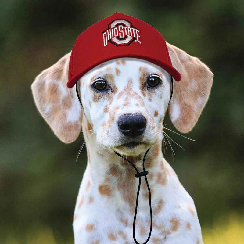 NCAA Ohio State University Buckeyes Dog Hat