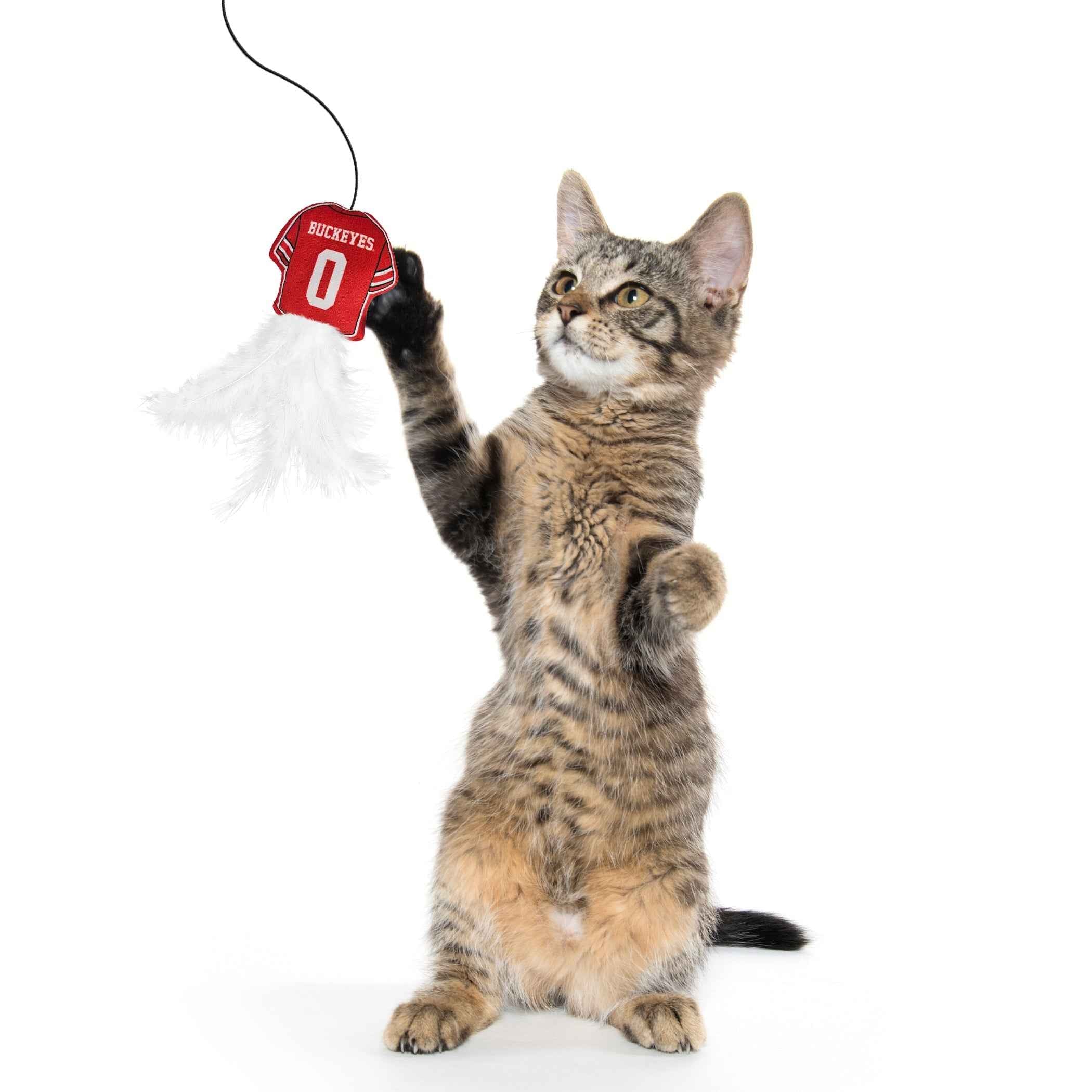 OHIO STATE BUCKEYES TEAM JERSEY WAND WITH CAT NIP