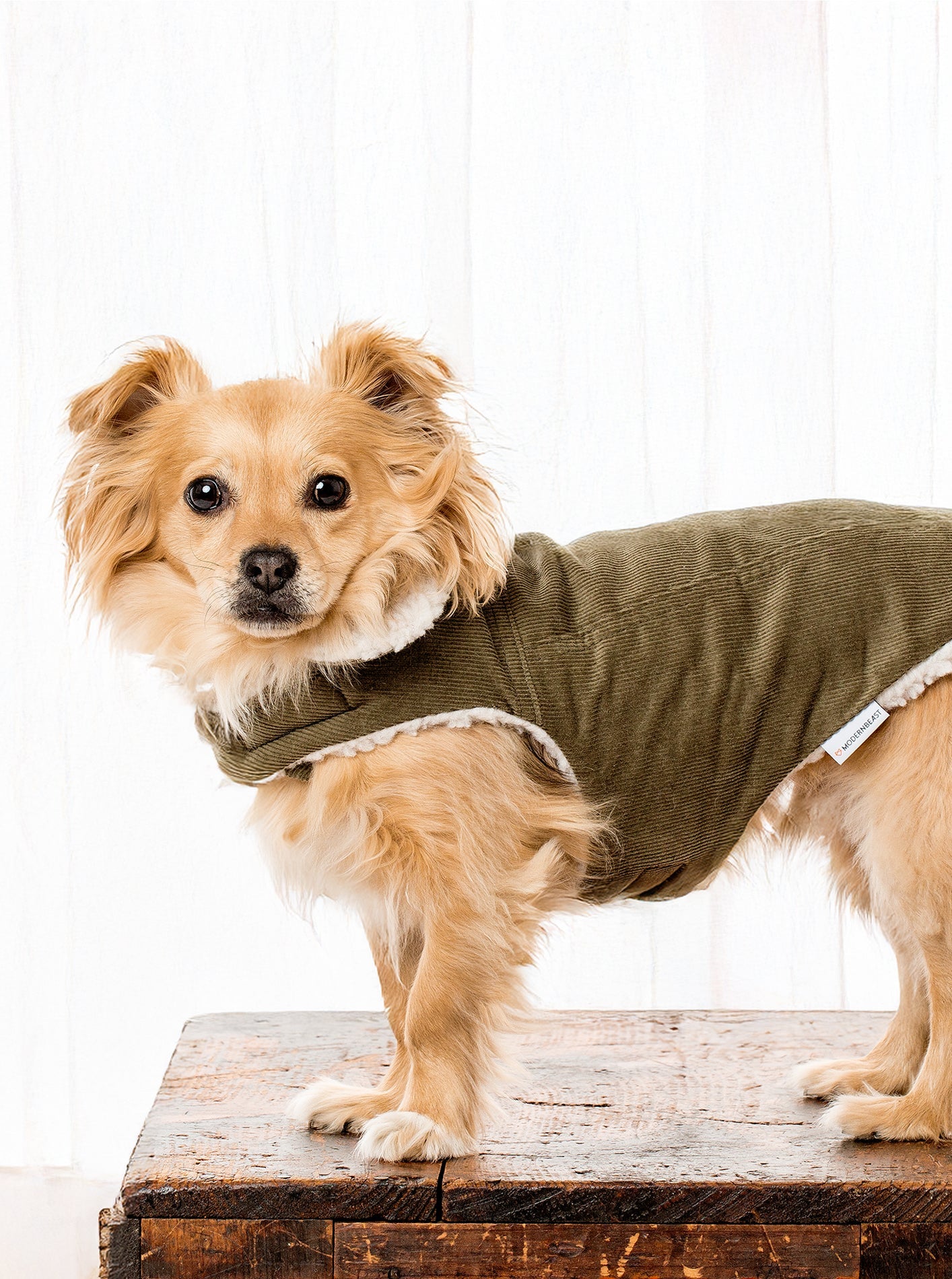 Corduroy Classic Pet Coat