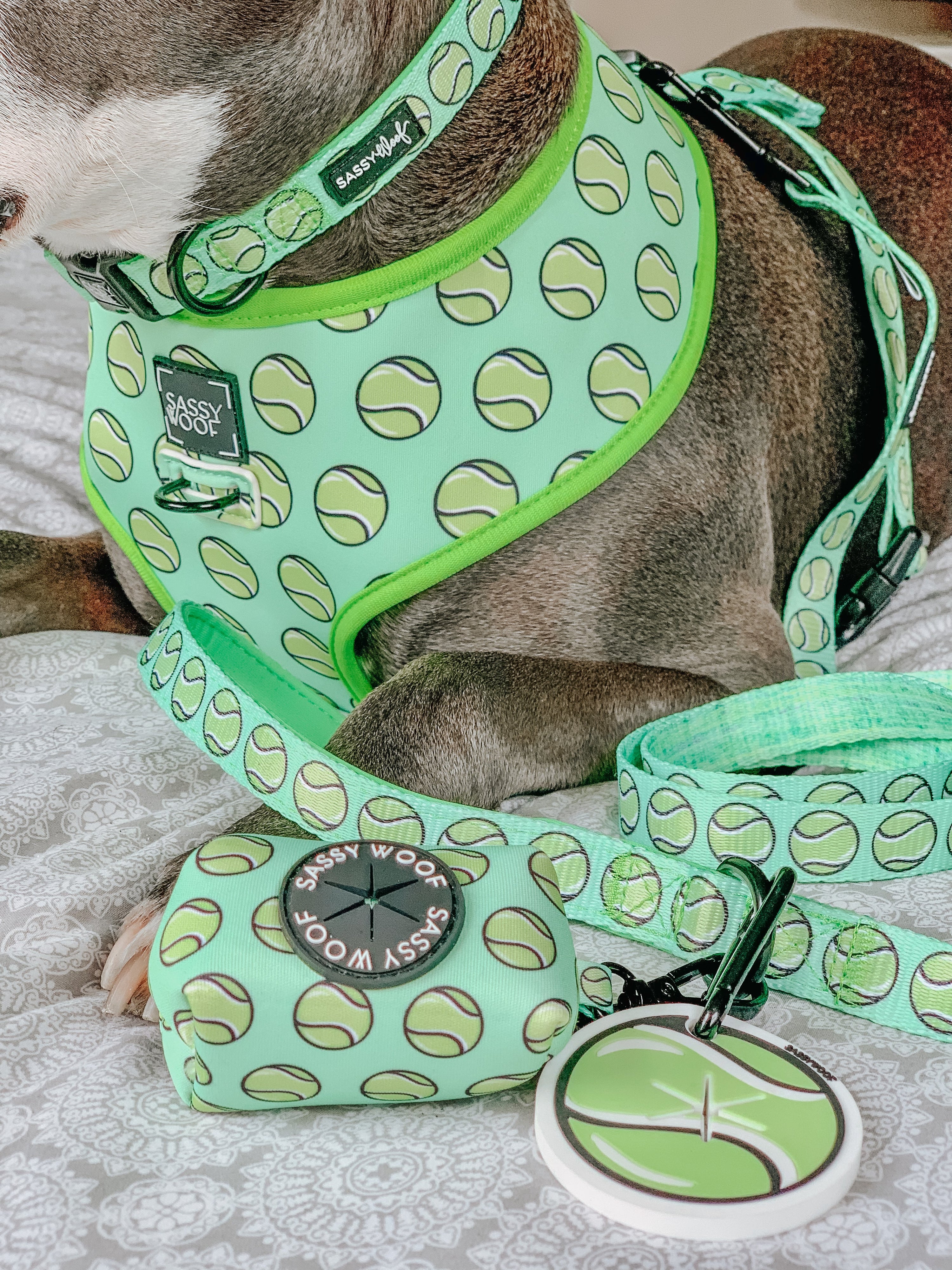 Dog Collar - Serving Up Sass