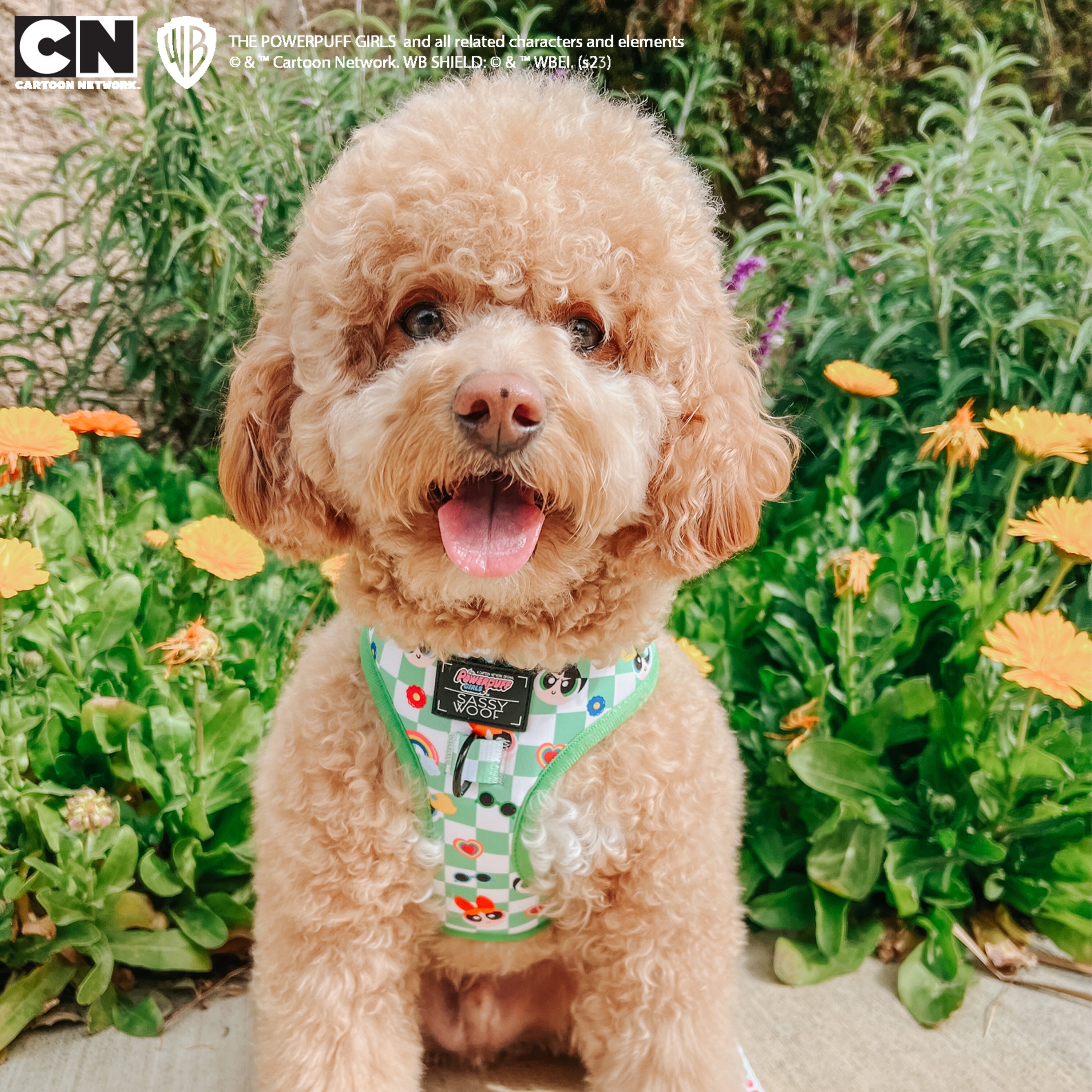 Dog Adjustable Harness - The Powerpuff Girls™ (Green)