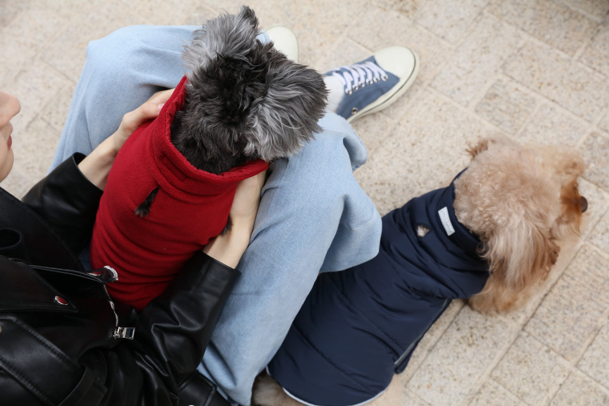 Reversible Dog Vest Jacket-Red