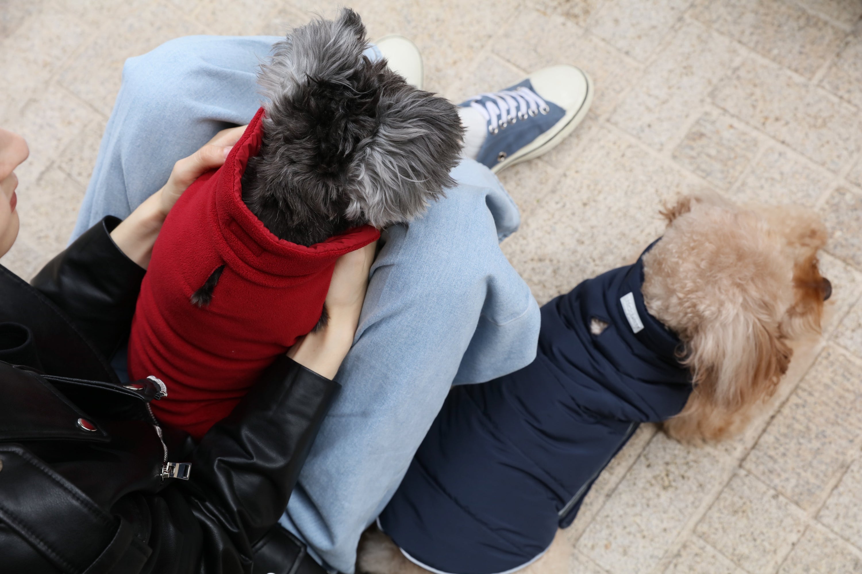 Reversible Dog Vest Jacket-Red