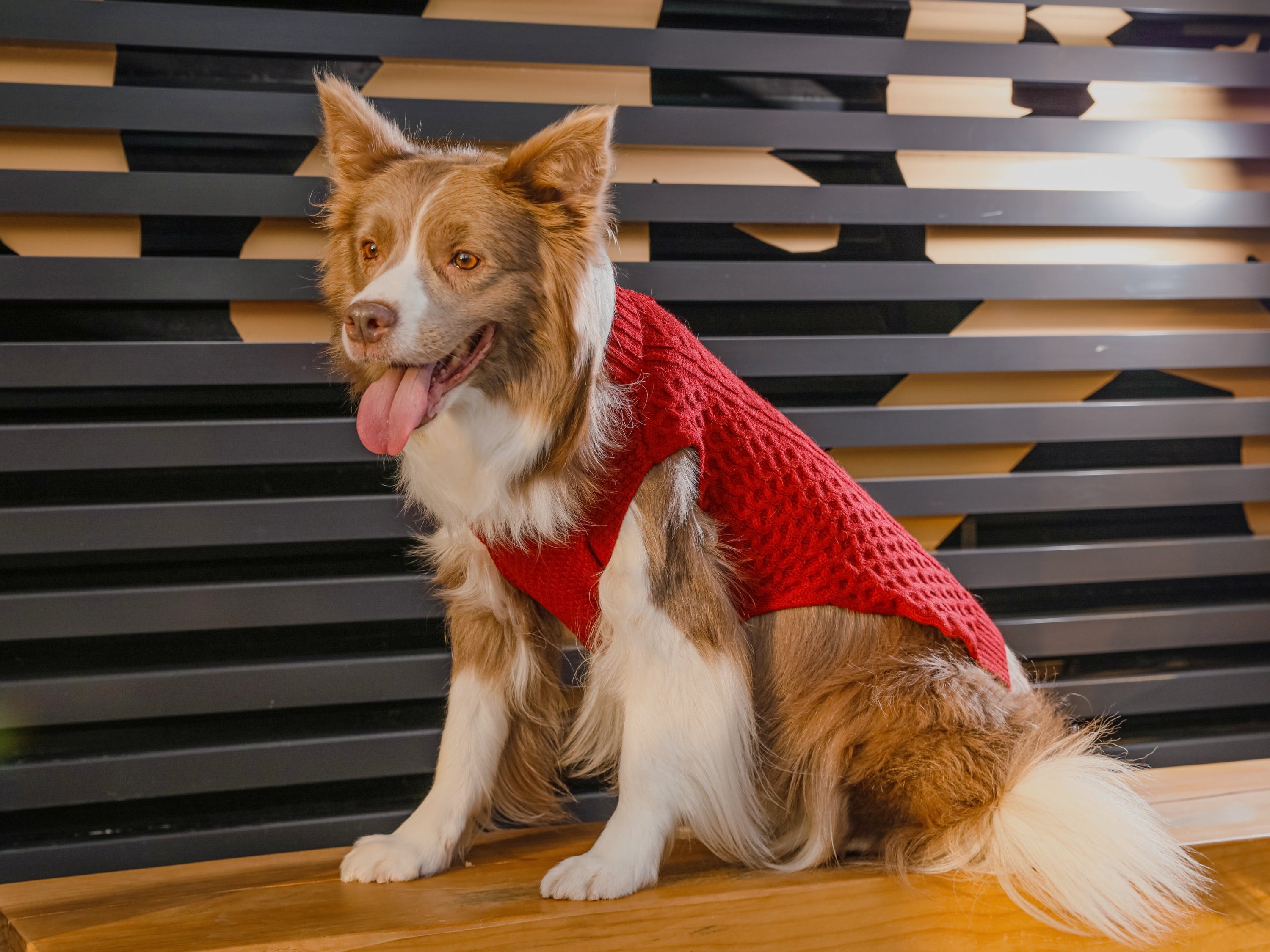Pet Sweater Vest-Red