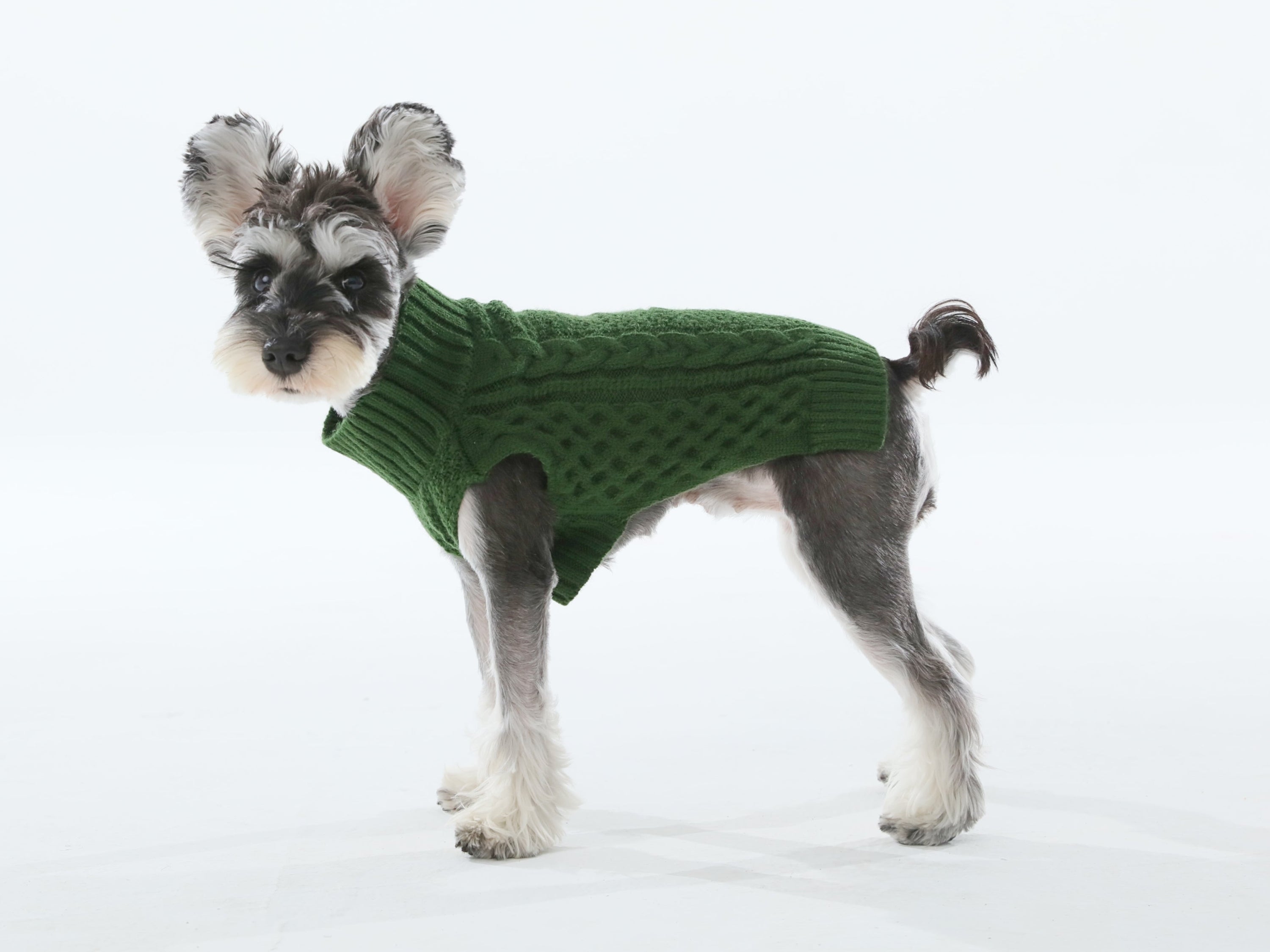 Pet Sweater Vest-Green