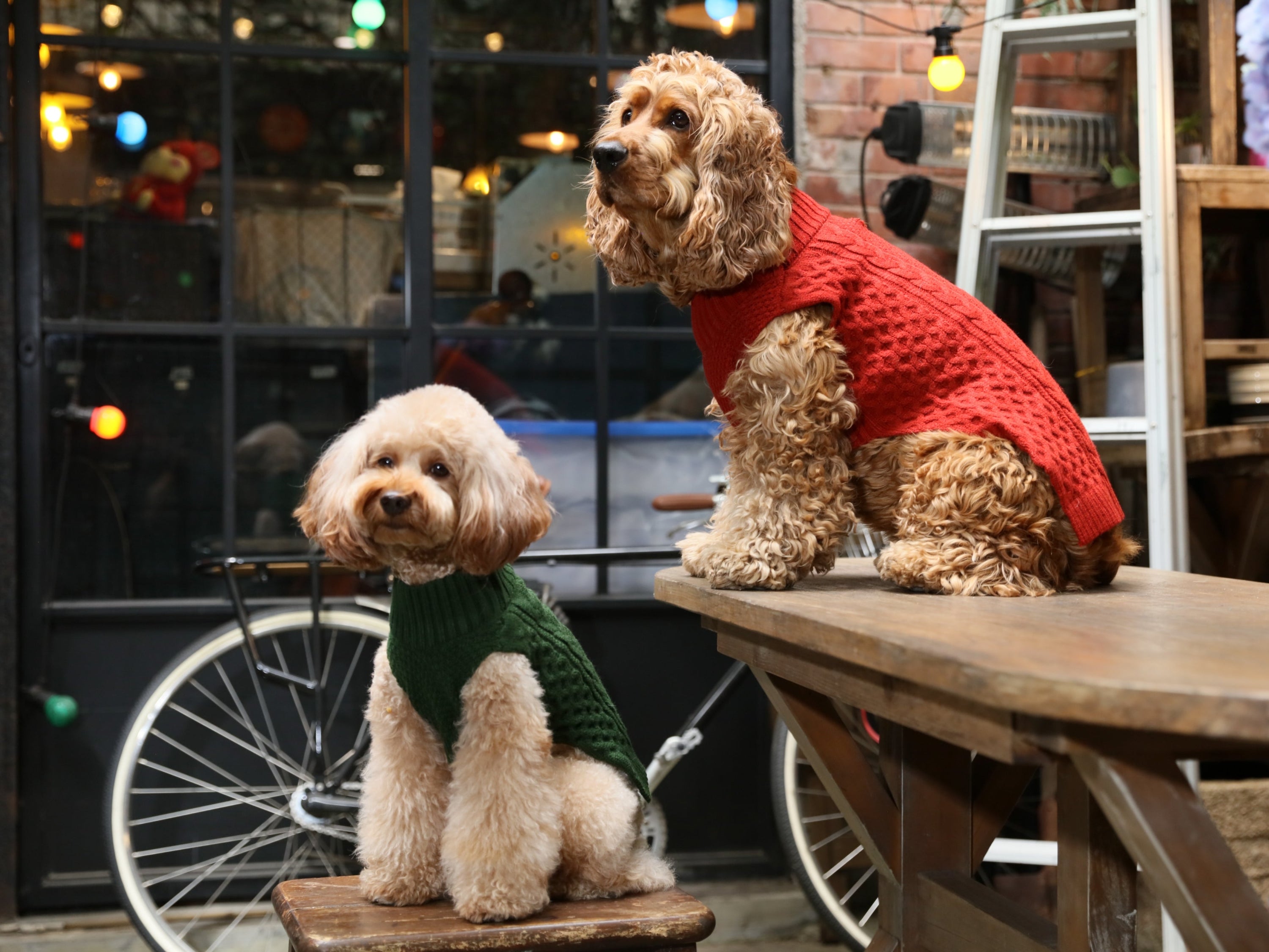 Pet Sweater Vest-Green