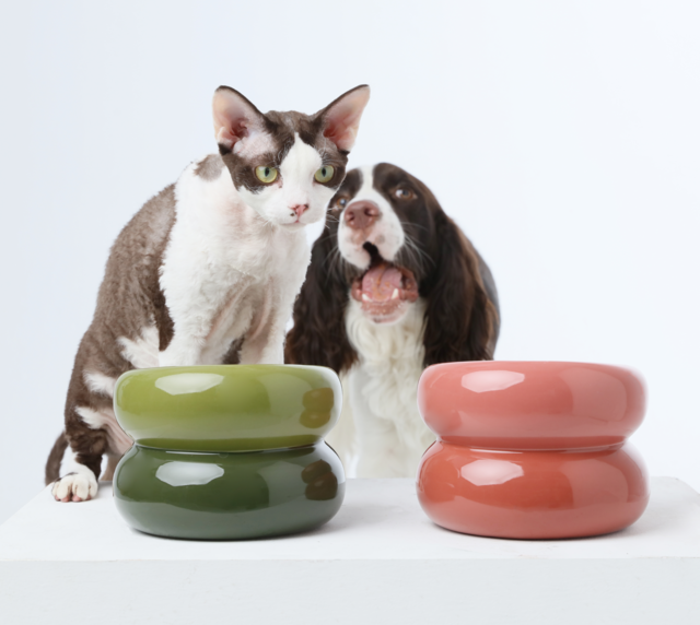 Souffle Pet Bowl-Avocado Green