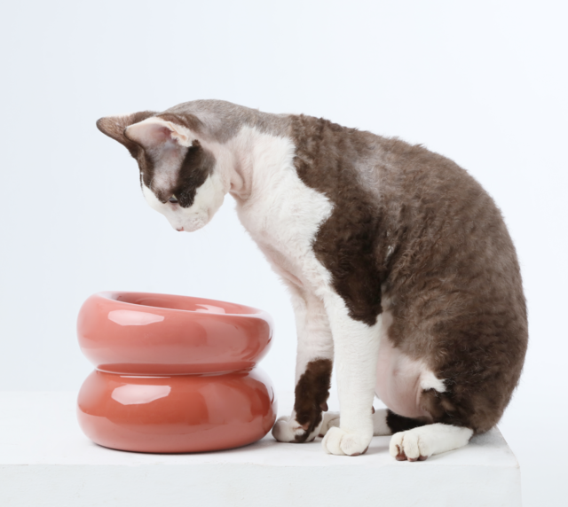 Souffle Pet Bowl-Rose Pink