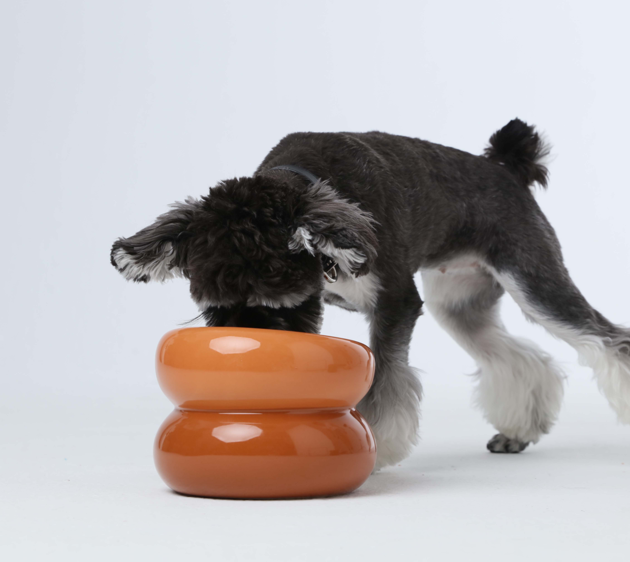 Souffle Pet Bowl-Amber Orange