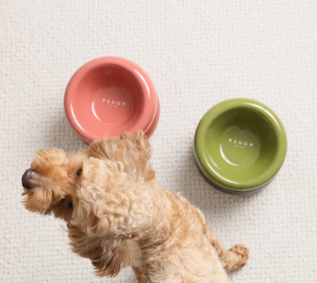Souffle Pet Bowl-Avocado Green