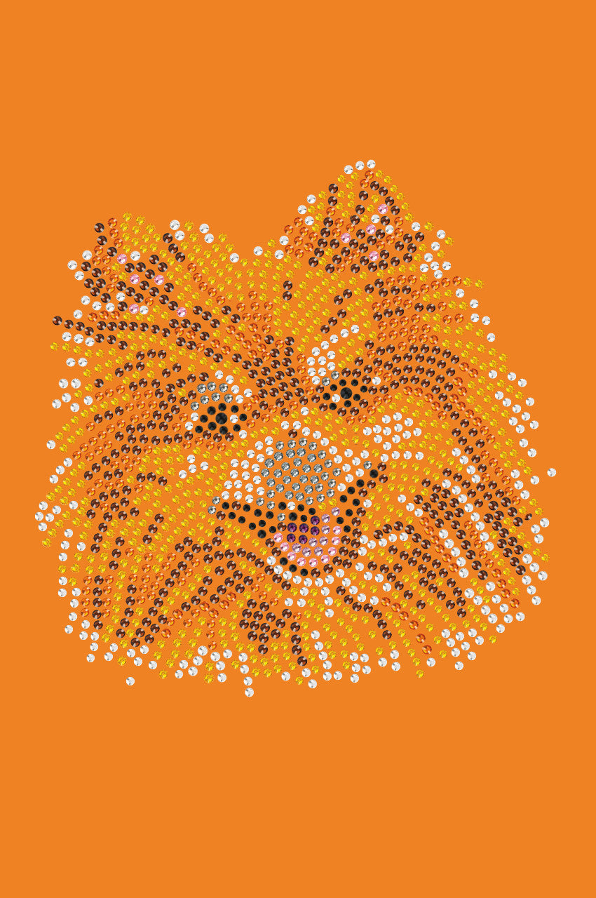 Pomeranian - bandana