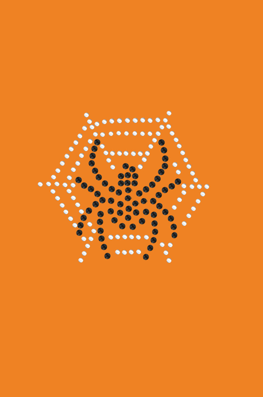 Spider Web & Spider Bandanna