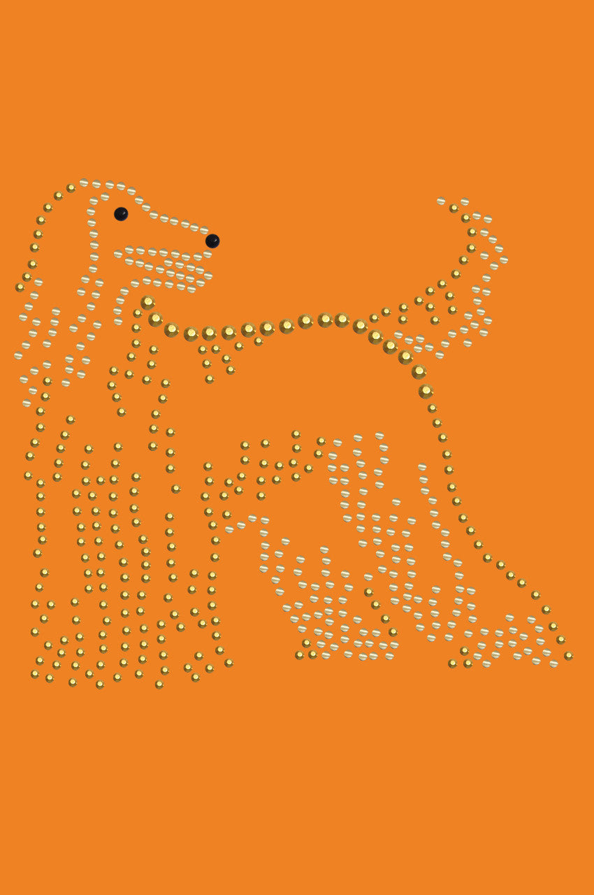 Afghan Hound - bandana