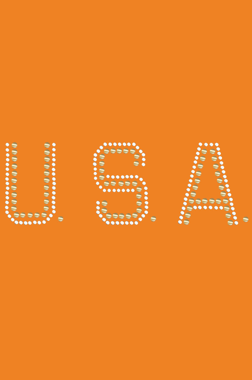 USA (Gold & Silver Nailheads) - Bandanna